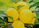 Frutas 3